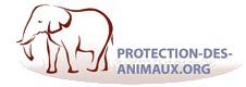 Protection des animaux Protection des animaux